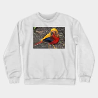 Bird Of Many Colors Crewneck Sweatshirt